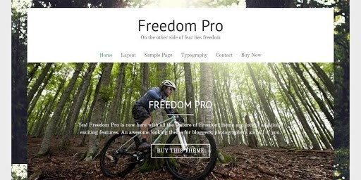 WordPress theme Freedom Pro fotografía