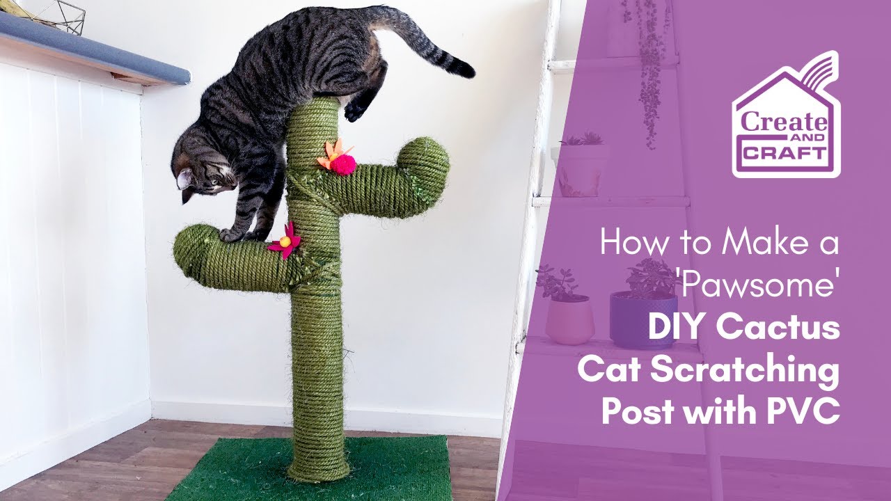 How To Create A Post For Cats