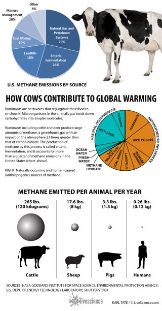 How To Create An Infographic On Global Warming