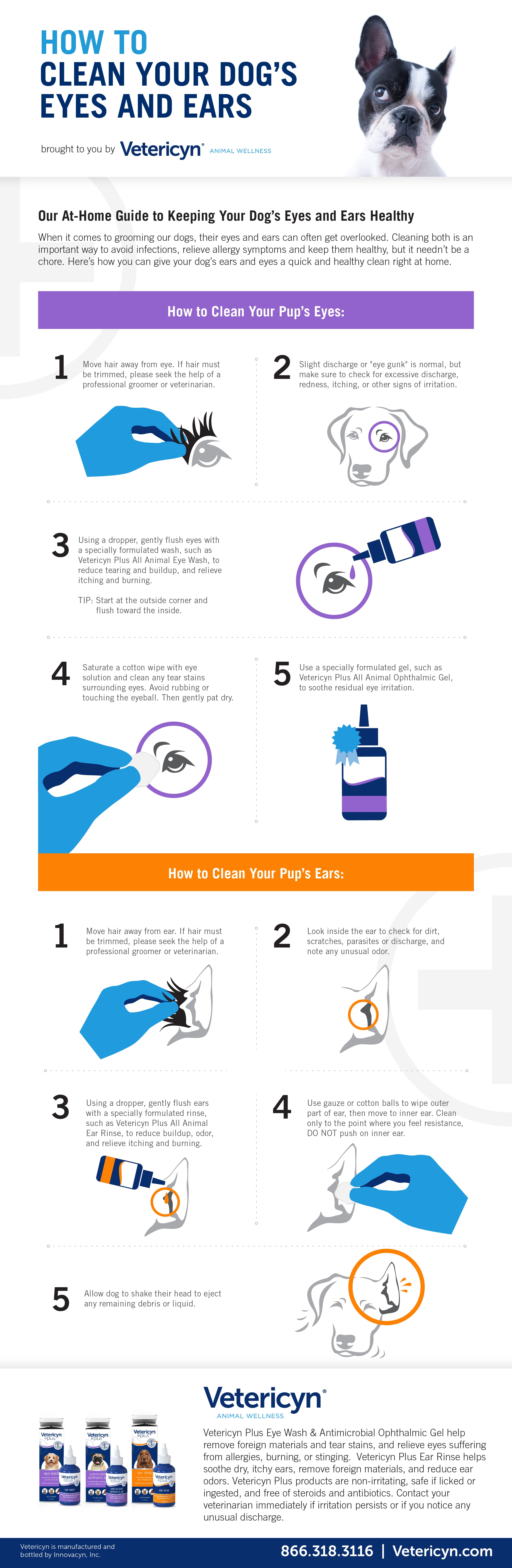 How To Make An Ear Care Infographic