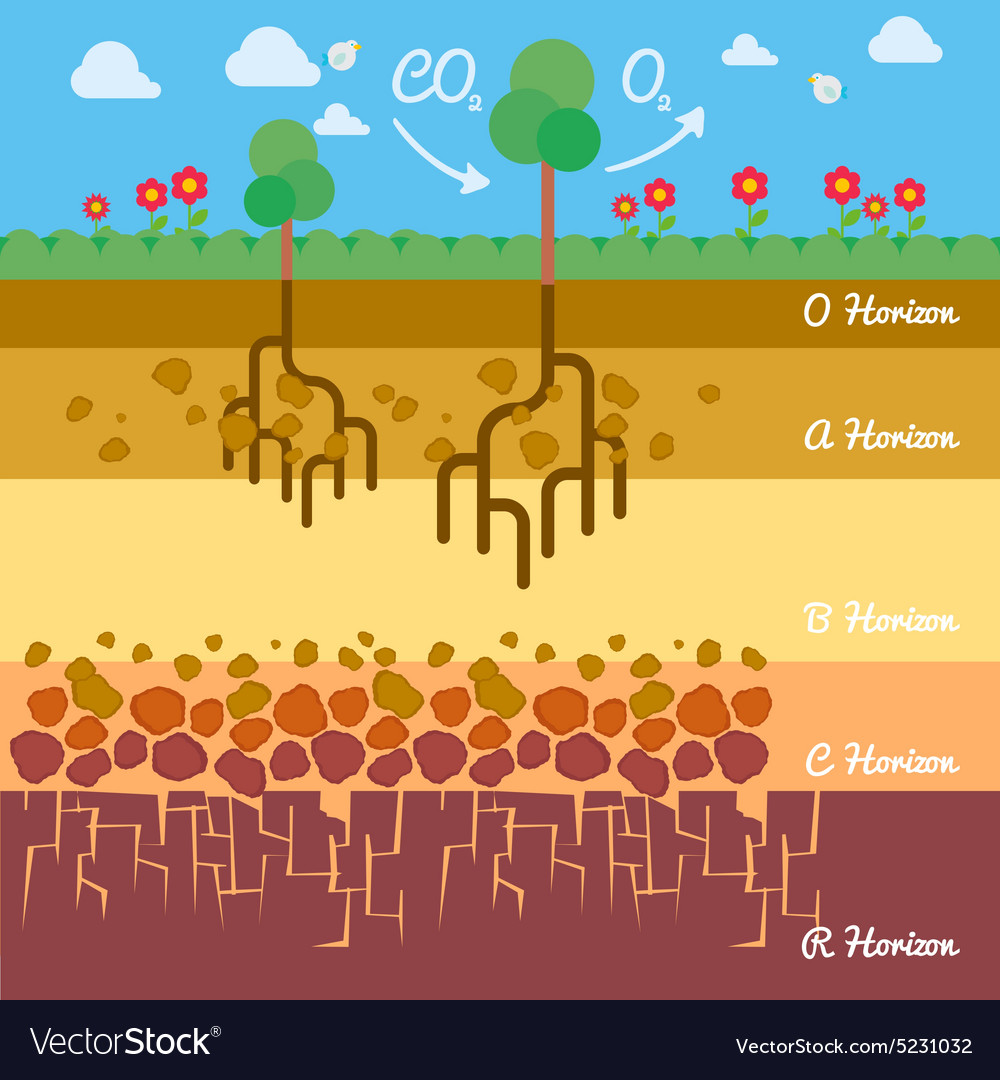 How To Make An Infographic About Soil
