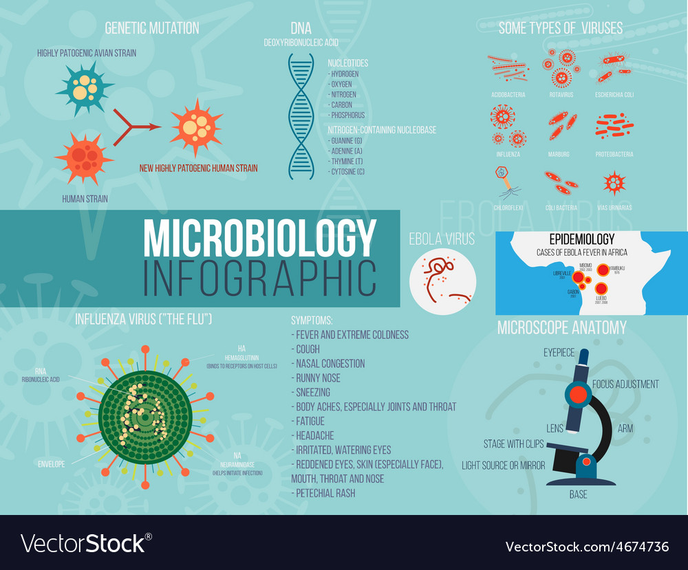 How To Make An Infographic About Viruses And Bacteria